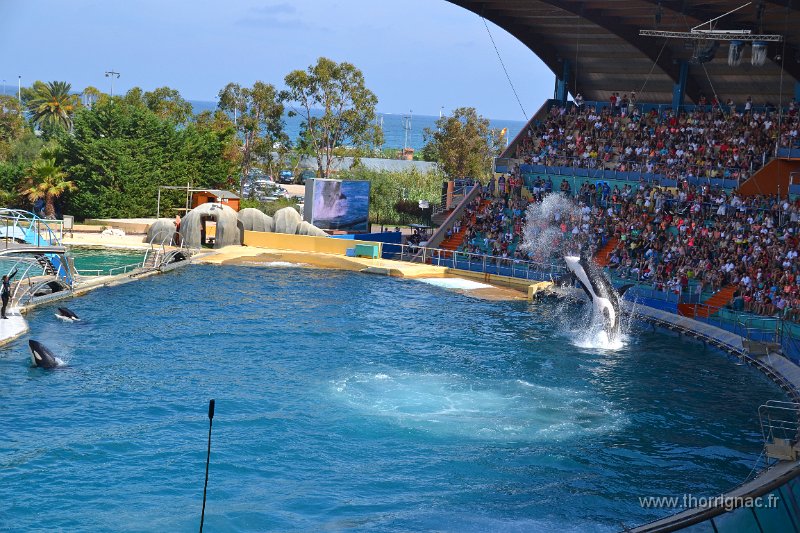 Marineland aout 2014 100.JPG - Marineland - Parc d'attractions aquatiques - Antibes - Août 2014